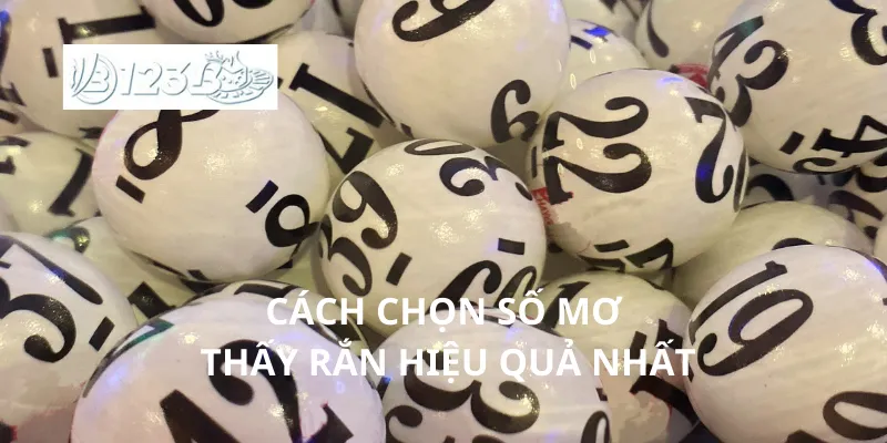 Cách chọn số mơ thấy rắn hiệu quả nhất