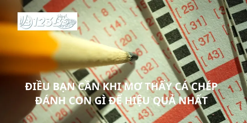 Điều bạn cần khi mơ thấy cá chép đánh con gì để hiệu quả nhất