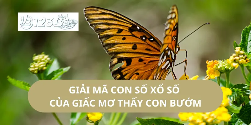 Giải Mã Con Số Xổ Số Của Giấc Mơ Thấy Con Bướm