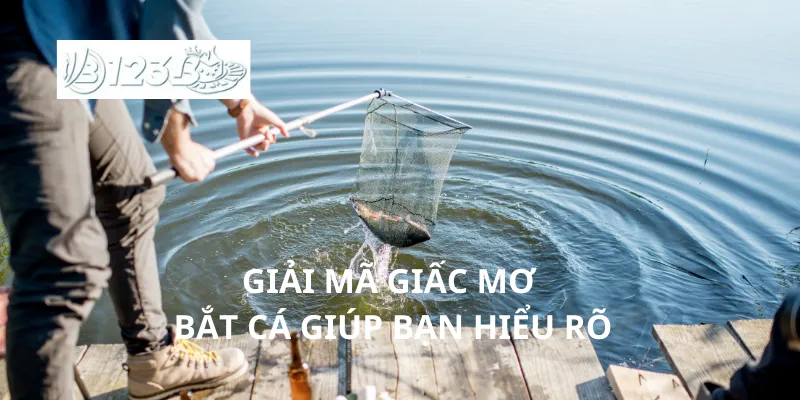 Giải mã giấc mơ bắt cá giúp bạn hiểu rõ