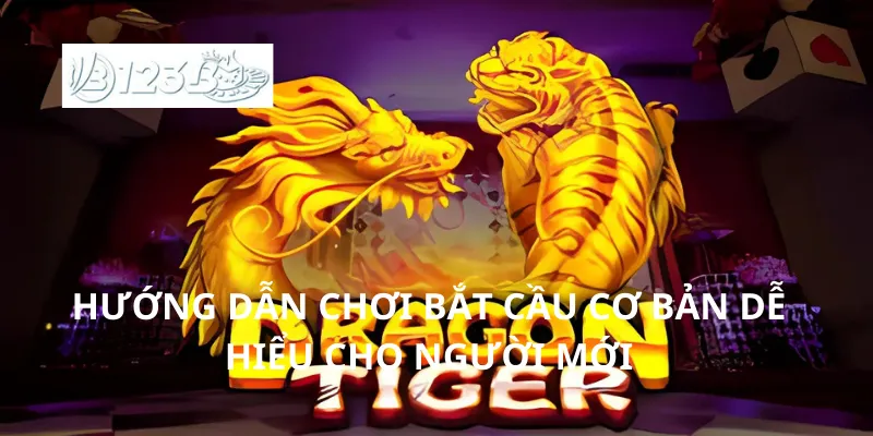 Hướng dẫn chơi bắt cầu cơ bản dễ hiểu cho người mới