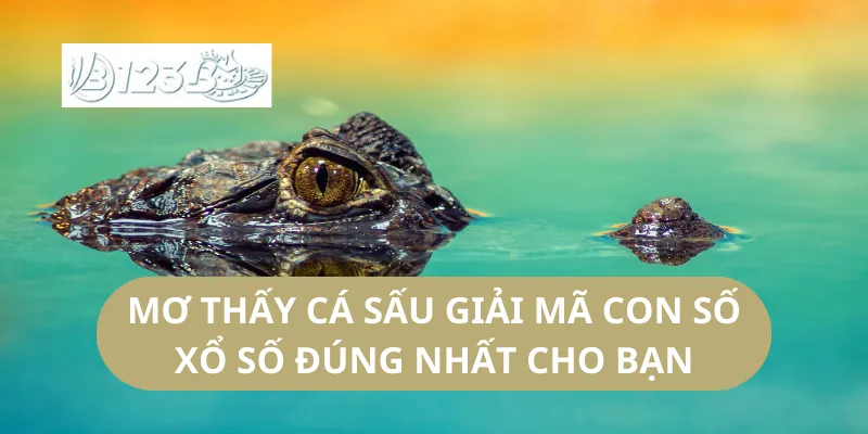 Mơ Thấy Cá Sấu Giải Mã Con Số Xổ Số Đúng Nhất Cho Bạn