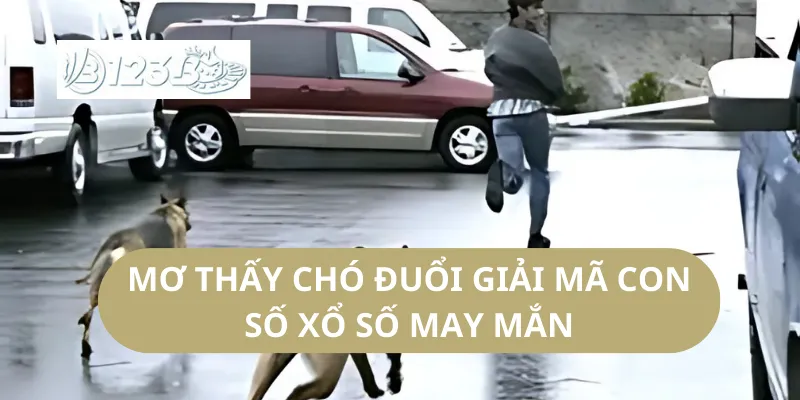 Mơ Thấy Chó Đuổi Giải Mã Con Số Xổ Số May Mắn