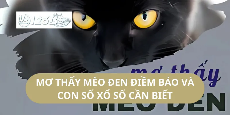 Mơ Thấy Mèo Đen Điềm Báo Và Con Số Xổ Số Cần Biết