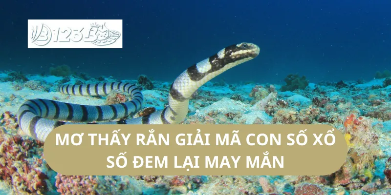 Mơ Thấy Rắn Giải Mã Con Số Xổ Số Đem Lại May Mắn