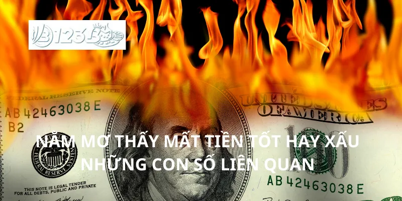 Nằm mơ thấy mất tiền tốt hay xấu giải mã ý nghĩa giấc mơ