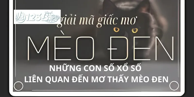 Những con số xổ số liên quan đến mơ thấy mèo đen