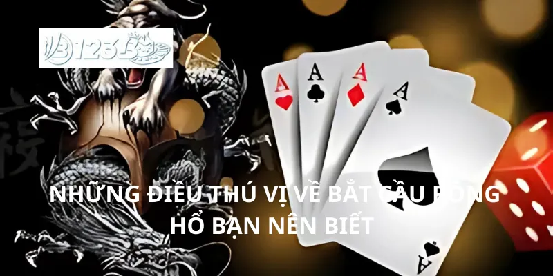 Những điều thú vị về bắt cầu rồng hổ bạn nên biết
