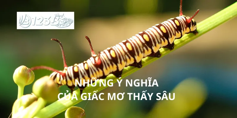 Những ý nghĩa của giấc mơ thấy sâu