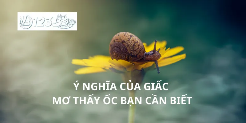 Ý nghĩa của giấc mơ thấy ốc bạn cần biết