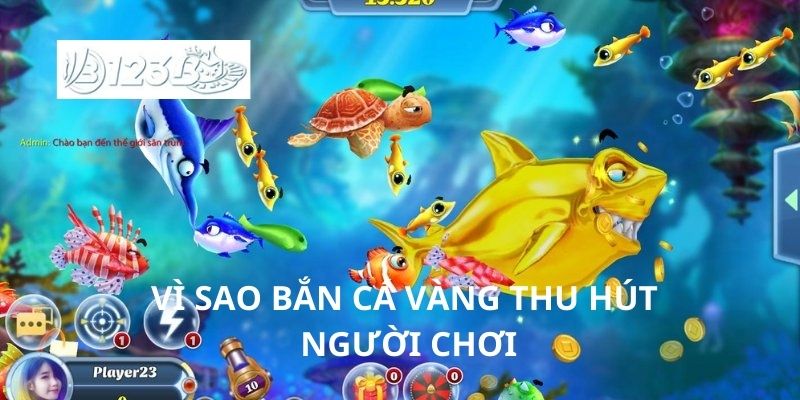 Vì sao bắn cá thu hút người chơi